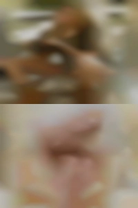Cry my wife to swinger women in fuck.